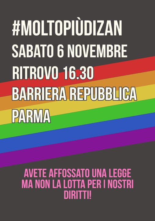 #moltopiùdizan manifestazione a Parma